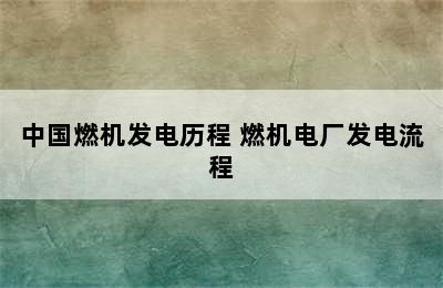 中国燃机发电历程 燃机电厂发电流程